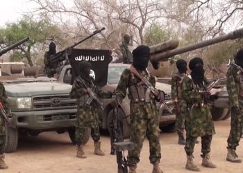 Babu hujjar cewa Boko Haram ta sanya dokar shari’a a jihar Neja – Binciken DUBAWA