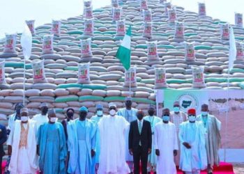 ƘADDAMAR DA DALAR SHINKAFA: RIFAN ta ce shinkafa za ta fi kowane kayan abinci arha a Najeriya har sai an riƙa fita dashi waje