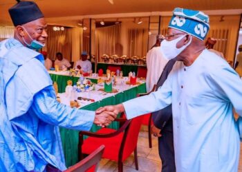 Masu ƙirƙirar ƙarya ne ke cewa akwai saɓani tsakani na da Shugaban APC – Tinubu