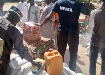 AMBALIYA: Mun kai kayan agaji a jihohi 21 – Minista Sadiya