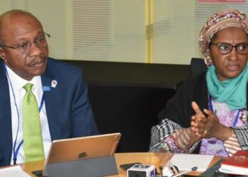 RIKITA-RIKITAR CANJIN KUƊI: Gwamnan CBN ba ya buƙatar sanar da Ministar Harkokin Kuɗaɗe -Moghalu, tsohon Mataimakin Gwamnan CBN