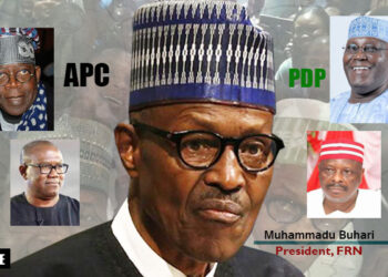 ALAƘAƘAI A 2023: Wanda zai gaji Buhari zai gaji bashin naira tiriliyan 77 – Shugabar Ƙididdigar Bashi