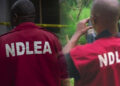 NDLEA ta kama mata 127 cikin ƴan kwaya 1,078 da hukumar ta kama  a jihar Kano a 2022