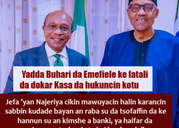 RA’AYIN PREMIUM TIMES: Yadda Buhari da Emefiele ke fatali da dokar ƙasa da hukuncin kotu