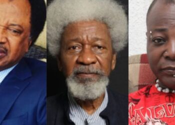 Shehu Sani da Charlie Boy sun maida wa Wole Soyinka martani kan magoya bayan Peter Obi