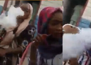 An san matan Arewa da biyayya da kunya, amma yanzu sun zama fitsararru da rashin kunya, Daga Marwanatu Madaki