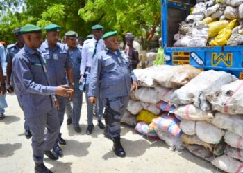 TIRKASHI: ‘Yan sanda sun kama harsasai da buhunan kullin wiwi da aka yi wa kudi naira miliyan 600 a Kebbi
