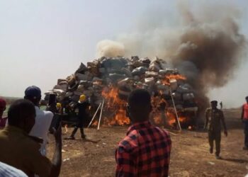Hukumar NDLEA ta kama tan 15.7 na haramtattun kwayoyi a jihar Kano