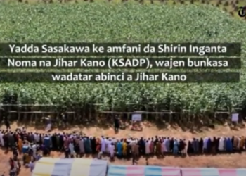 BIDIYO: Yadda Sasakawa ke amfani da Shirin Inganta Noma na Kano (KSADP), wajen  wadatar abinci a Jihar