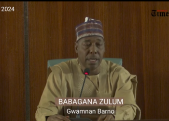 BIDIYO: Muhimman batutuwa uku da muka tattauna da Tinubu game da jihar Barno