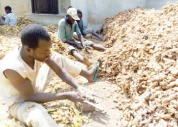 Manoman citta a jihohi uku da Abuja sun samu tallafin naira biliyan 1.6 daga gwamnatin Tarayya