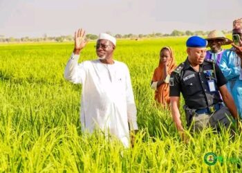 RANGADIN DUBA NOMAN SHINKAFA A JIGAWA: Muna sa ran samun tan miliyan 1.6 na shinkafa cikin wannan shekarar – Gwamna Namadi
