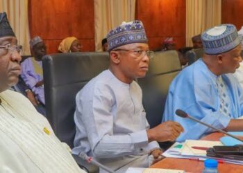 Gwamnonin Arewa sun tabbatar da bai wa manomansu tallafi don inganta noma a jihohinsu