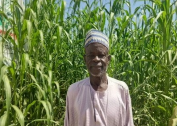 GA NOMA GA HASARA: Yadda muka shafe shekaru 28, ƙauyen mu a Kano, ba wutar lantarki, muna noma muna ɗibga hasara