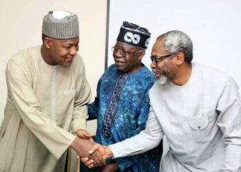 DOKAR HARAJI: Tinubu ya cika gwarzo, ina goyon bayan dokar sake fasalin haraji – Dogara