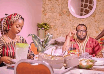 KANNYWOOD: SHARHIN FIM ƊIN ‘DA NA SANI’, Daga Habibu Maaruf Abdu