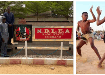 KANO: NDLEA za ta hada kai da ƙungiyar ‘yan dambe domin yaki da shan miyagun ƙwayoyi