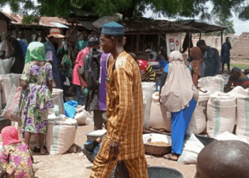 RAHOTO NA MUSAMMAN: Yadda manoma ke halin tsaka mai wuya saboda ta’azzarar ayyukan masu garkuwa da mutane a jihar Kwara