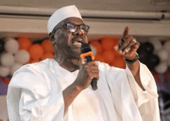 Gwamnoni da ke sauyin sheƙa zuwa APC ba za su iya tsinana mata komai ba – Ndume