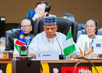 TARON G20: Muhimman abubuwa 5 da shugaba Tinubu ya gabatar wa shugabannin duniya