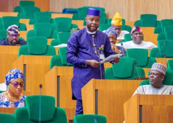 JANYE ƳAN SANDA: ‘Alhaki na kan Tinubu idan wani abu ya samu wani ɗan majalisa’ – in ji wani ɗan majalisa