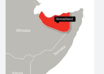 Sadiyya, Qatar, Turkiyya, ƙungiyar tarayyar Afirka sun yi Alla-wadai da matakin Isra’ila na amincewa da ƙasar Somaliland