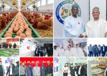 KADUNA: Uba Sani, Ministan bunƙasa kiwo sun yi ganawa kan shirin ƙaddamar da katafaren gonar kaji da zai samar wa matasa sama da 350,00 aiki