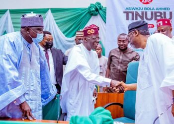 Tinubu ya jaddada goyon bayansa na kafa ‘yan sandan jiha, ya sha alwashin taimaka wa ‘yan majalisa sake lashe zaɓensu