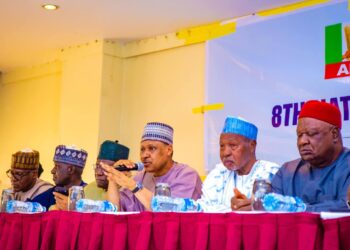 Babban taron APC na ƙasa zai nuna haɗin kai da ƙwarewar dimokiraɗiyya – Minista Idris