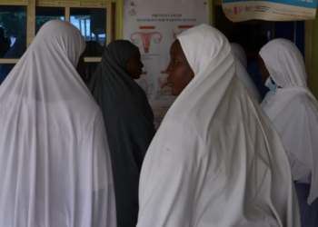 ƘARANCIN MA’AIKATAN LAFIYA: Yadda asibitocin PHCs a Adamawa ke dogara da ma’aikan sa-kai da ke zaman samun aikin gwamnati