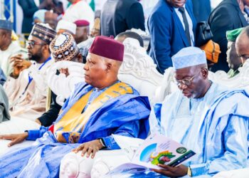 Noman Alfafa a jihar Jigawa zai kawo karshen rikicin manoma da makiyaya a Najeriya – Shettima