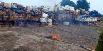 NDLEA ta kona muggan kwayoyi, koken, ganyen wiwi da sanadaren kwalewa da suka kai na naira biliyan 301 a jihar Legas